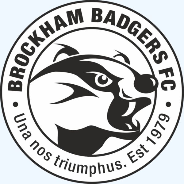 Brockham Badgers FC Thumbnail
