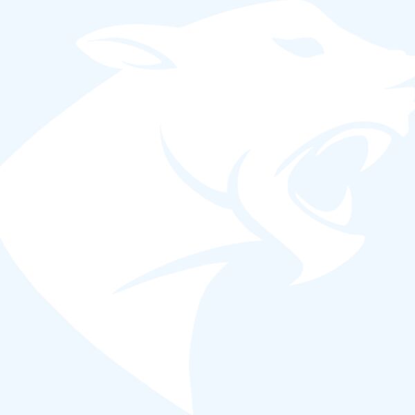 Puma badge Thumbnail