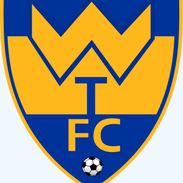 Woking Town Fc Thumbnail