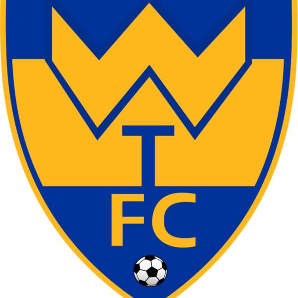 Woking Town Fc Thumbnail