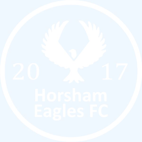 Horsham Eagles FC for dar garments Thumbnail
