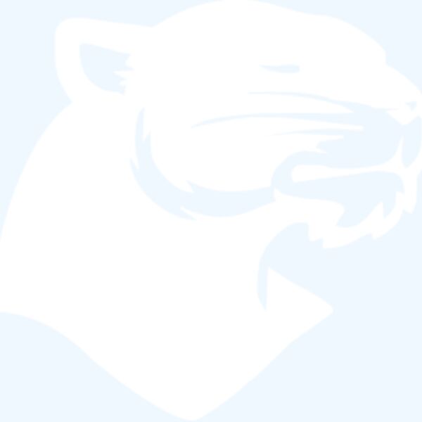 Panthers badge Thumbnail