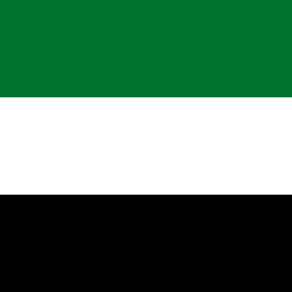 UAE flag Thumbnail