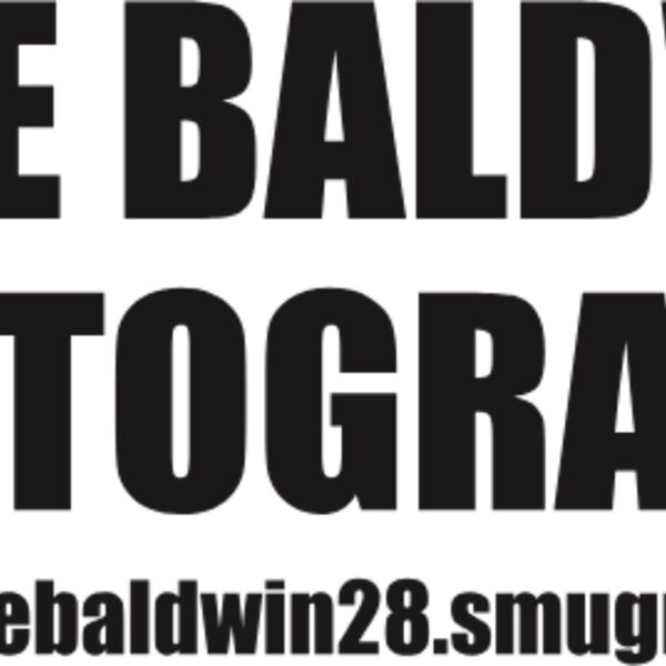 Dale Baldwin Thumbnail