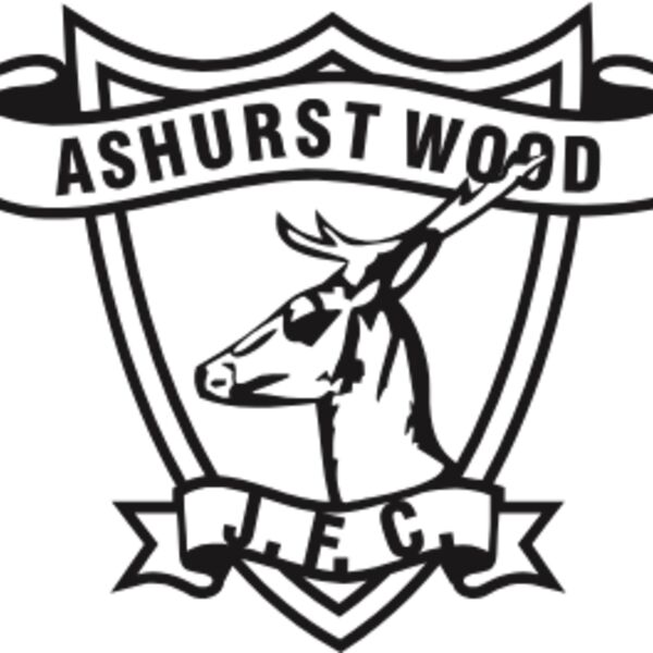 Ashurst Wood JFC Thumbnail