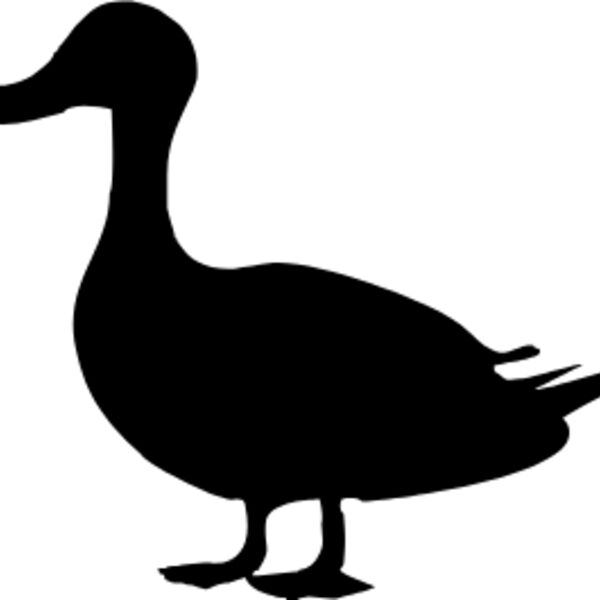 DUCK Thumbnail