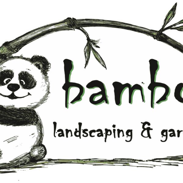 Bambo Thumbnail