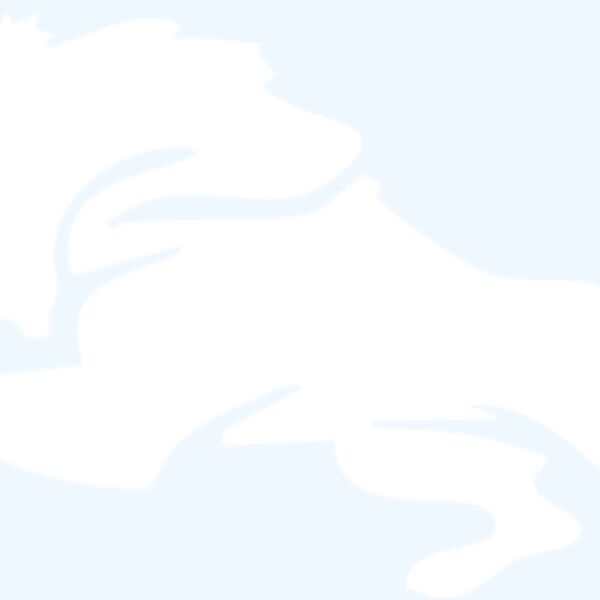 District Lion club badge Thumbnail